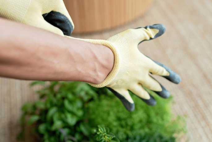 Excepteur sint occaecat